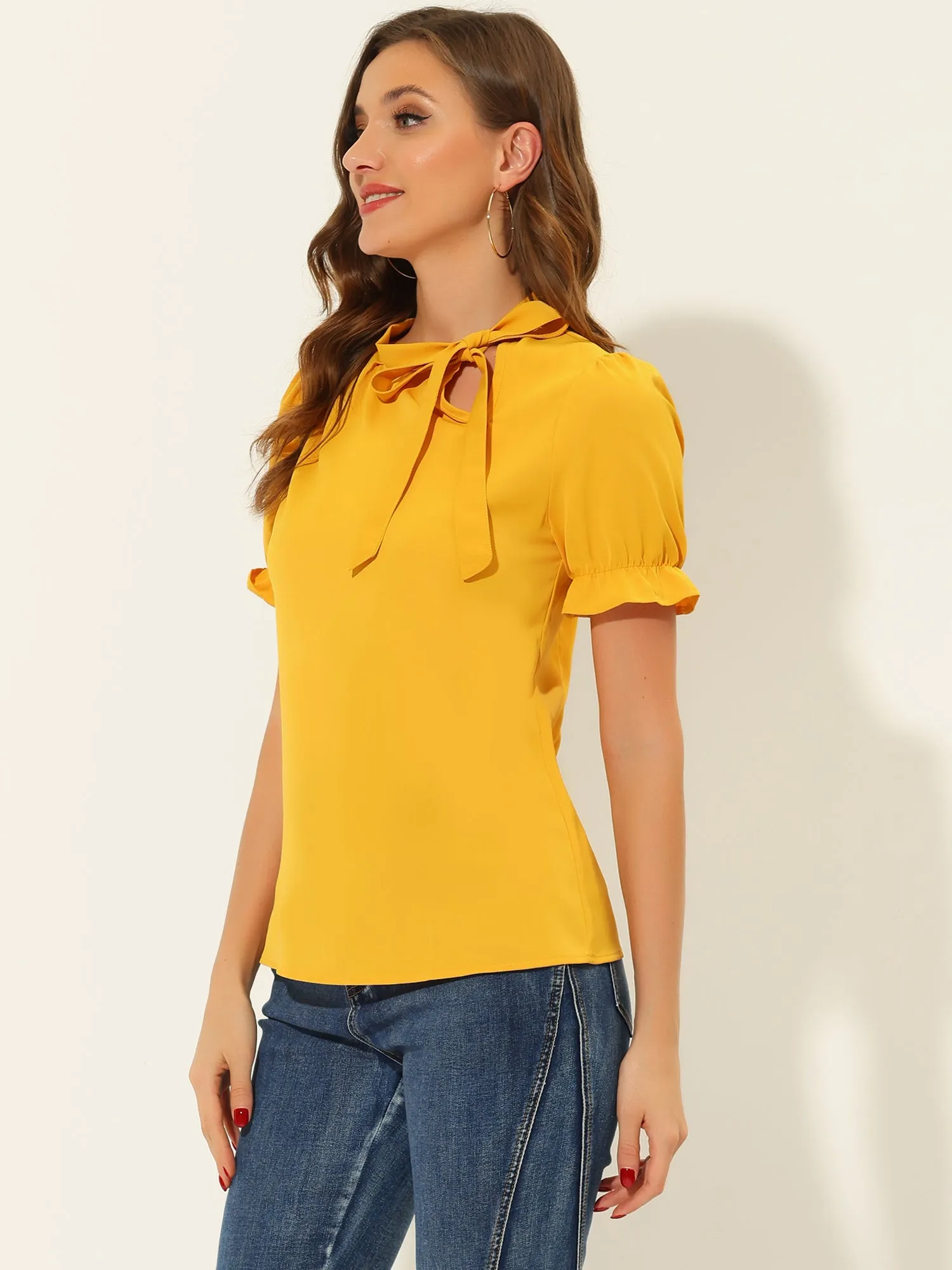 Bow Tie Neck Elegant Office Short Sleeve Blouse