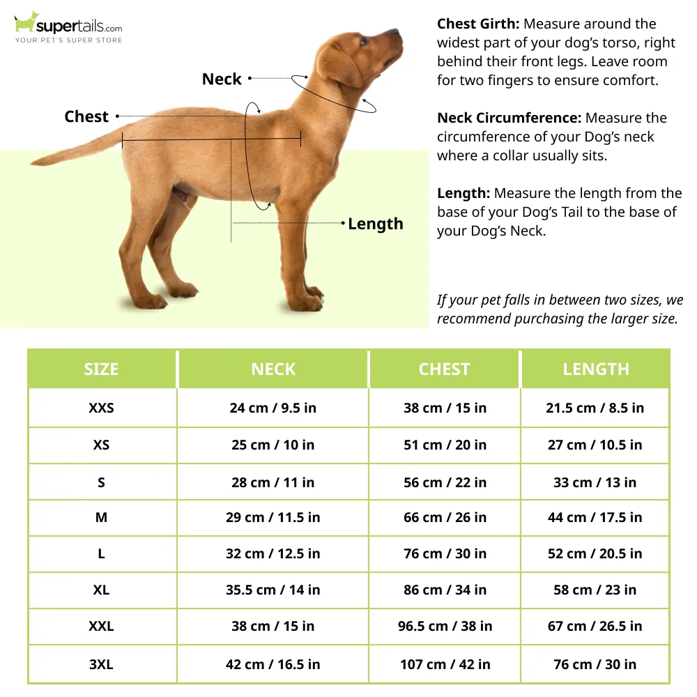 Cheeku I Smell Chimken Graphic Cotton T Shirt for Dogs and Cats (Primerose Yellow)