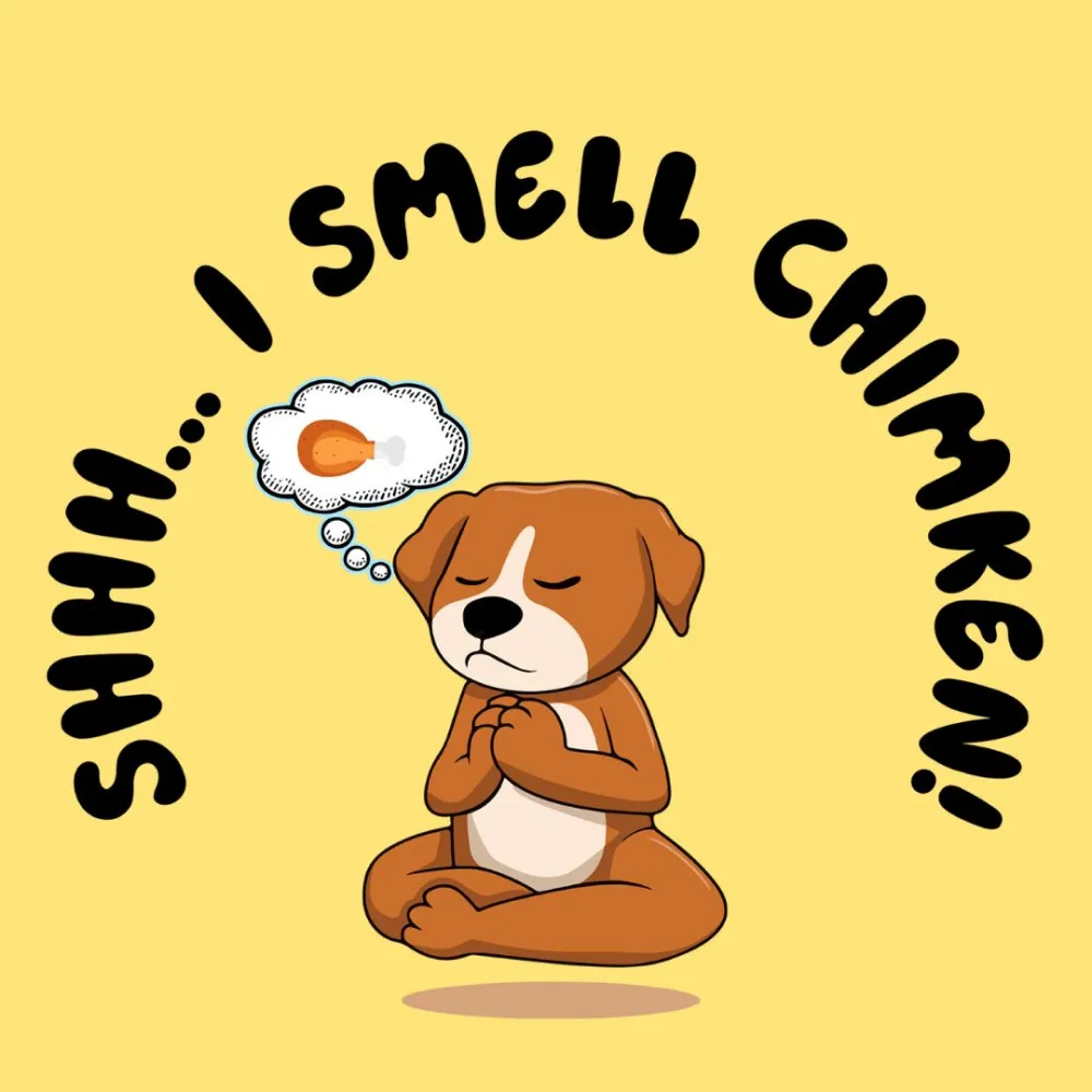 Cheeku I Smell Chimken Graphic Cotton T Shirt for Dogs and Cats (Primerose Yellow)
