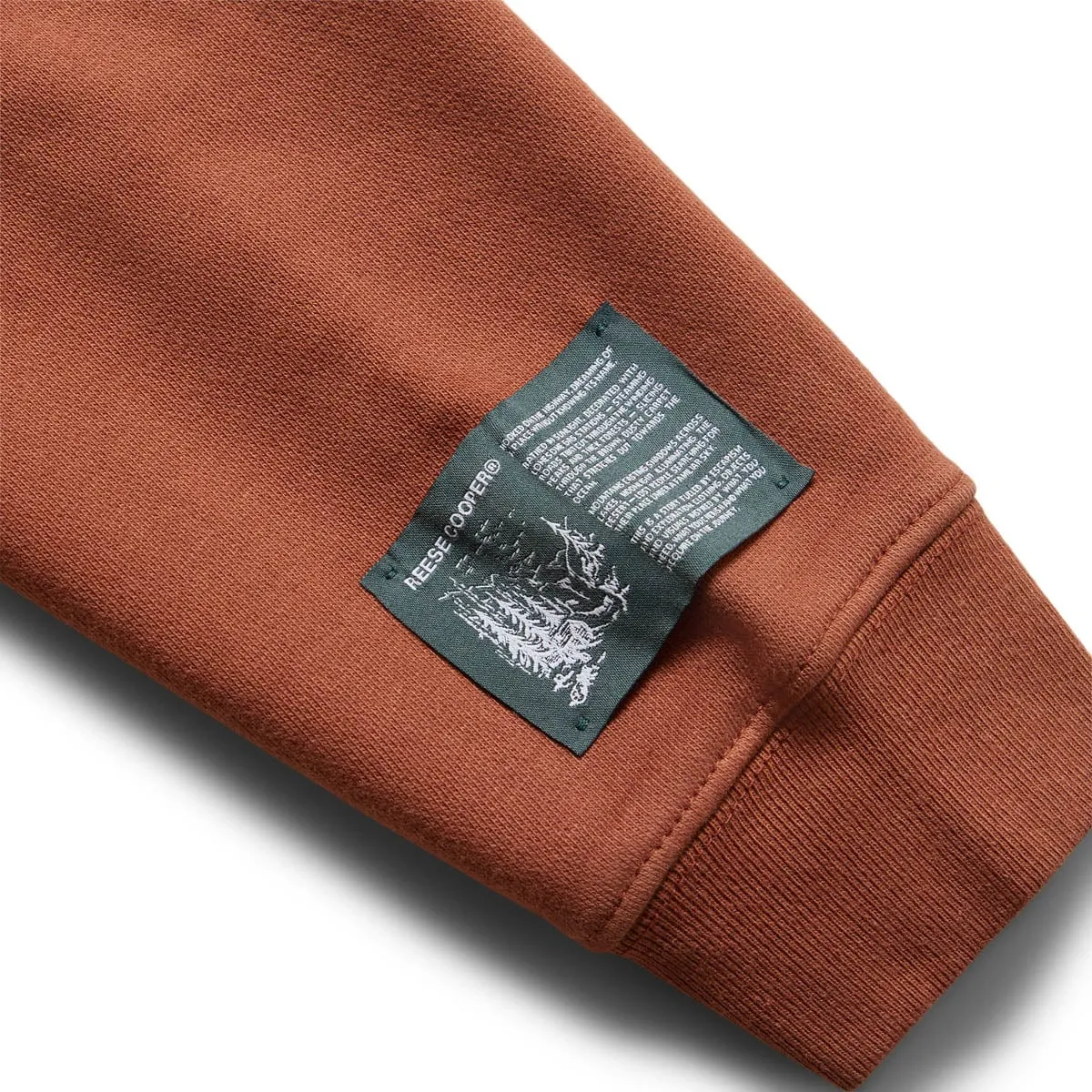 EAGLE ROCK HOODED SWEATSHIRT