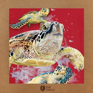 Turtle Friends T-Shirt Kids